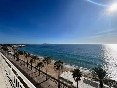 a view of a beach with palm trees and the ocean at Louise appartement, by Welcome to Cannes in Cannes