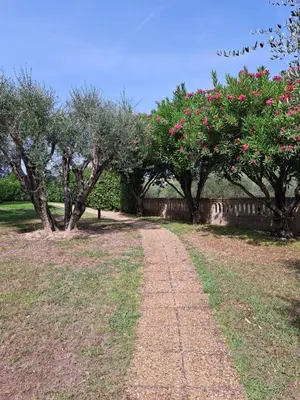 a dirt road in a field with trees and pink roses at 80m2 dans Parc Classé, Piscine, Calme, 5mn de Cannes in Le Cannet