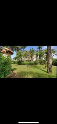 a view of a yard with palm trees and a house at Residence Eden park in Cannes