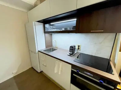 a small kitchen with a sink and a refrigerator at Studio Ipanema in Cannes