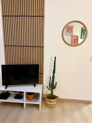 a living room with a tv and a cactus at Excellent emplacement: plein cœur de ville, Croisette et rue d’Antibes in Cannes