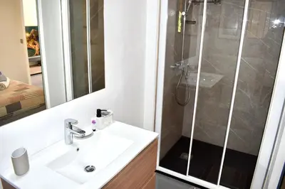 a bathroom with a sink and a shower at Magnifique Appartement 2 pièces au calme in Cannes