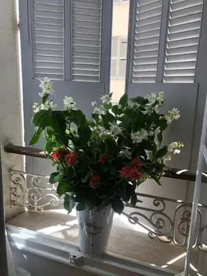a vase of flowers sitting on a window sill at Centre heart of CAnnes in Cannes