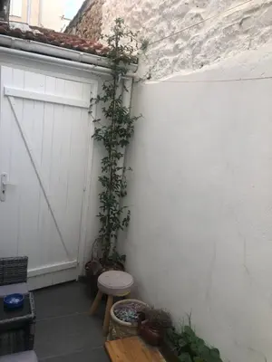 a white garage with a plant growing on the wall at Centre heart of CAnnes in Cannes