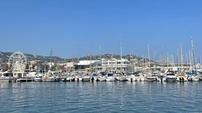 a bunch of boats docked in a harbor at Cannes center - very practical - all comfort in Cannes