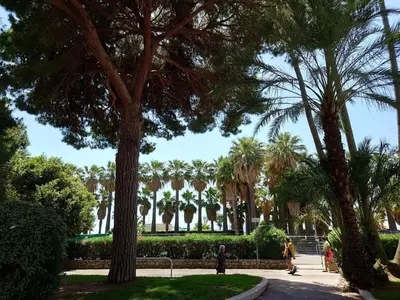 a group of people walking around a park with palm trees at SUNRISE & SUNSET PALM BEACH CROISETTE in Cannes