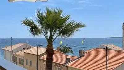 a palm tree in front of the ocean with sailboats at Cannes Pointe Croisette : superbe logement vue mer in Cannes