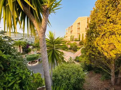 a palm tree in front of a building at Villa Francia, Cannes,minimum 5 nuits de sejour in Cannes