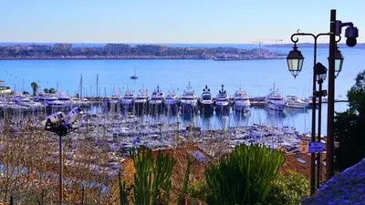 a bunch of boats are docked in a harbor at Proche Carlton & Croisette, Appartement 203 - Palmazur Vacances in Cannes