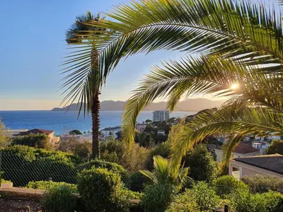 a palm tree with the ocean in the background at Superbe appartement une chambre vue mer piscine tennis in Cannes