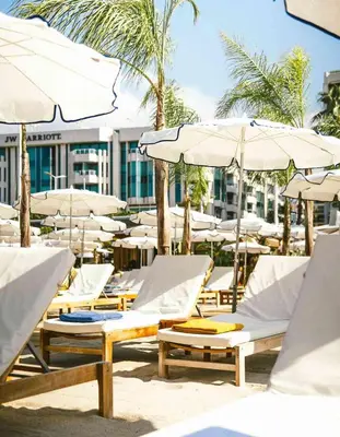 a group of lounge chairs and umbrellas on a beach at Cannes: superbe studio x3 personnes, top position! in Cannes