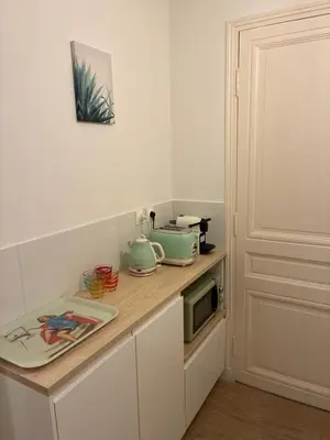 a kitchen with a counter with a microwave at Villa Les Fougeres 2p jardin parking in Cannes