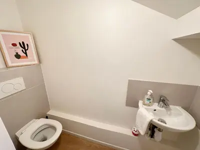 a small bathroom with a toilet and a sink at Maison de ville tout confort à Cannes et à 10 Minutes à pied de la plage in Cannes