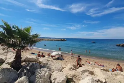 a group of people on a beach with a palm tree at S 2P CANNES AS - Le Marie Antoinette in Cannes
