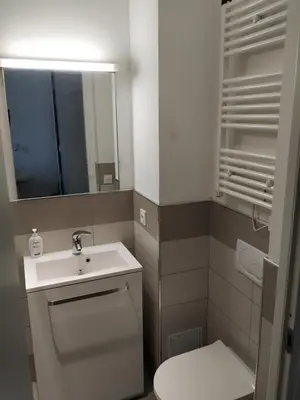 a bathroom with a sink and a toilet and a mirror at STUDIO CANNES A 5 MN A PIED DE LA GARE TOUT CONFORT AVEC BALCON in Cannes