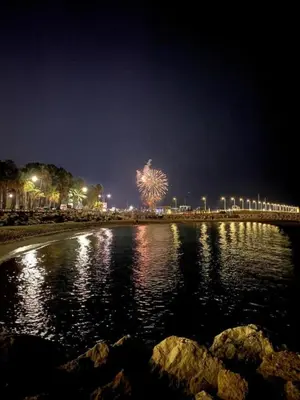 a firework display in the sky over a beach at night at Bright and elegant renovated two rooms - Near Suquet in Cannes