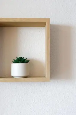 a plant sitting on a shelf on a wall at Chagall 3 étoiles in Cannes