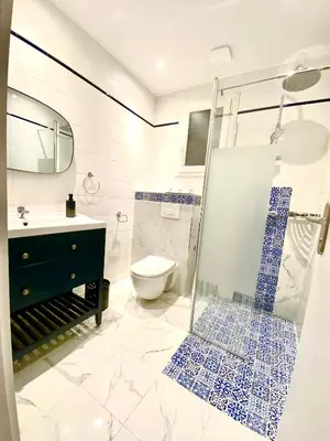 a bathroom with a shower and a toilet and a sink at Le somptueux Le Gallia in Cannes