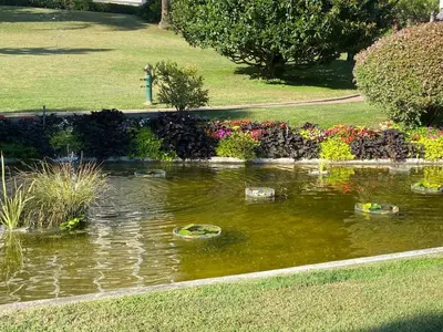 a pond with turtles in a garden with flowers at Le somptueux Le Gallia in Cannes