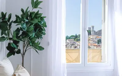 a plant in a room next to a window at Bel Appartement 5* Vue Mer Et Suquet - Centre Cannes in Cannes