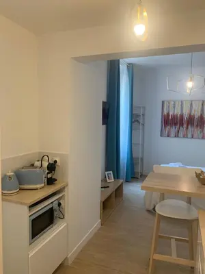 a bathroom with a shower and a sink at Villa les Fougeres Studio jardin in Cannes