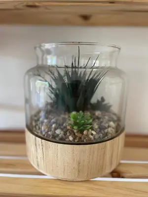 a glass vase with a plant in it on a table at Le Bleuette - Festivals 10min - face plages ! in Cannes