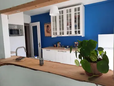 a kitchen with a counter with a plant on it at Appart proche plage avec grand balcon in Cannes