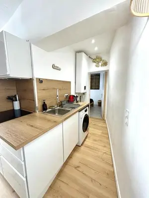 a kitchen with a sink and a washing machine at Les Halles Forville - Palais, plages, wifi, clim in Cannes