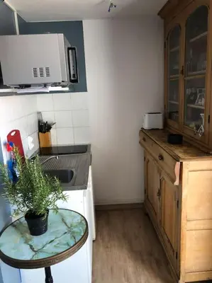 a kitchen with a table with a potted plant on it at 2 pièces 2 terrasses 100 m Croisette très clair. in Cannes