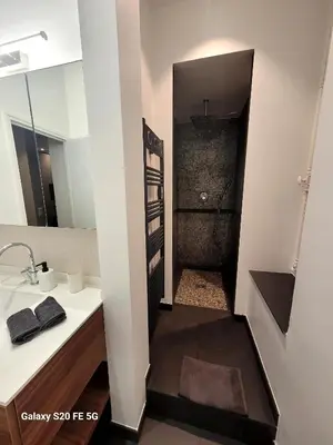 a bathroom with a sink and a shower at Appartement Cannes Centre - Palais du Festival in Cannes