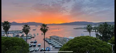 a view of a marina with palm trees and boats at Palm croisette front de mer1 in Cannes