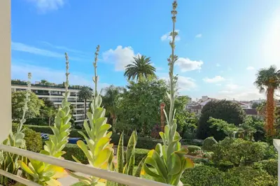 a view of a garden with palm trees and bushes at Beautiful Renovated Studio with AC and TERRACE - Benakey in Cannes