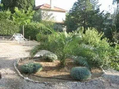 a garden with a bunch of plants in a yard at STUDIO classé 3 étoiles 10 mn Cannes in Le Cannet