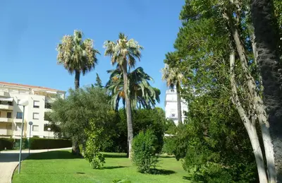 a park with palm trees and a building with a clock tower at VILLAS DES LYS in Cannes