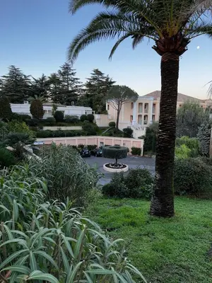 a palm tree in a park with a building at CANNES VILLA FRANCIA in Cannes