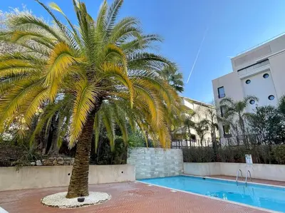 a palm tree in front of a swimming pool at 2 pièces près de la Croisette in Cannes
