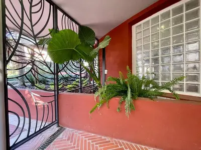 a balcony with two potted plants and a window at 2 pièces près de la Croisette in Cannes