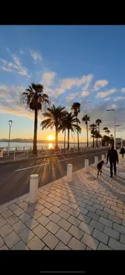 a man walking two dogs on a sidewalk near the beach at Le Week Riviera - Spacieux 3 étoiles-Coeur de Cannes - Palais des Festivals- Terrasse - Clim- Garage in Cannes