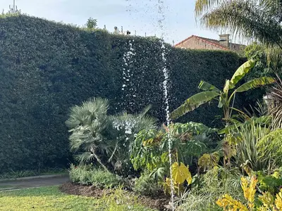 a garden with a water fountain in front of a hedge at Cannes Studio situé dans la résidence Gallia Historique in Cannes