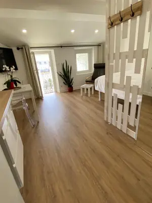 a living room with wooden floors and a bedroom at Studio centre ville cannes in Cannes