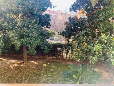 a garden with two trees and a fence at Butterfly-Palais des Festival-center-quiet-AC-Wi Fi parking in Cannes