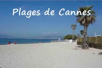 a beach with a palm tree and the words places de caminas at Cannes centre , magnifique , 5 min palais in Cannes