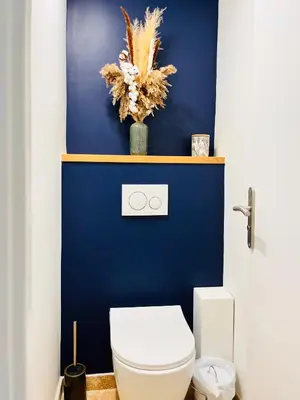 a bathroom with a toilet and a blue wall at Le CozyCroisette - Centre Cannes - 6 personnes in Cannes