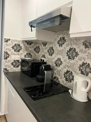 a kitchen with a stove and a microwave at Ciel de Cannes in Cannes