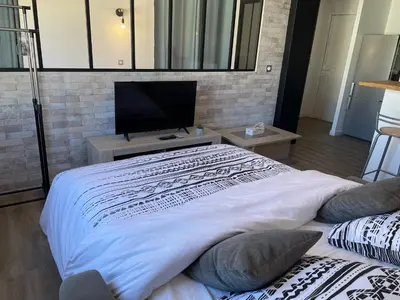 a bedroom with a large bed and a television at Modern and pleasant apartment in the heart of the city in Cannes
