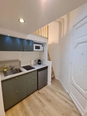 a kitchen with a sink and a microwave at Studio 700 m du Palais et Croisette - Le St Jean in Cannes