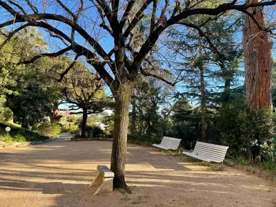 two park benches sitting next to a tree at C012-Appartement confortable avec piscine, tennis et grand parc in Cannes