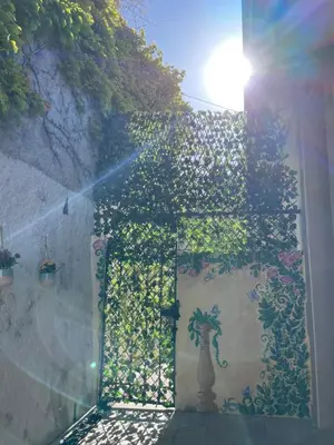 a plant in a vase on the side of a wall at HEART OF OLD TOWN - BEACH 150m & PALAIS DES FESTIVALS 600m in Cannes