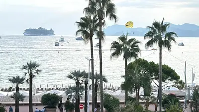 a cruise ship in the water with palm trees at Palais Miramar in Cannes