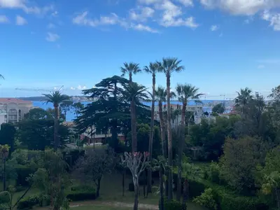 a group of palm trees in a park at Appartement vue sur mer, proche Croisette in Cannes